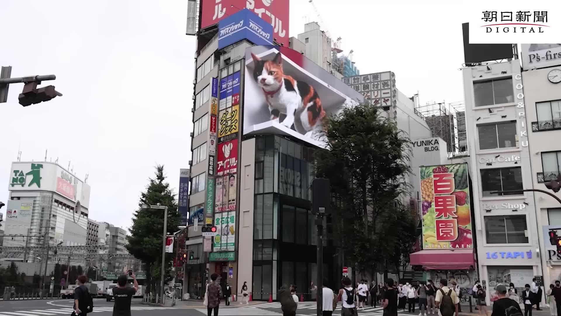 裸眼3D户外广告大屏《Cross Shinjuku Vision》