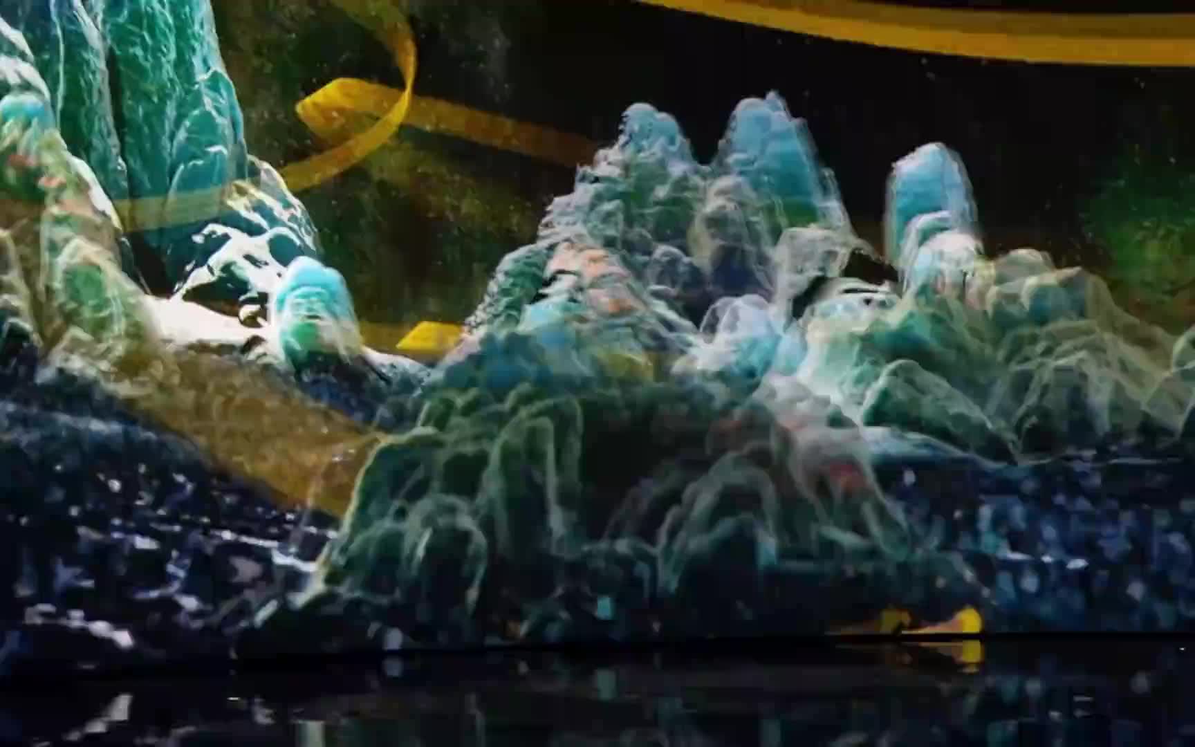 沉浸式数字艺术展《岭南四时·水映画境》