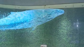 福建南平碳中和展厅测试